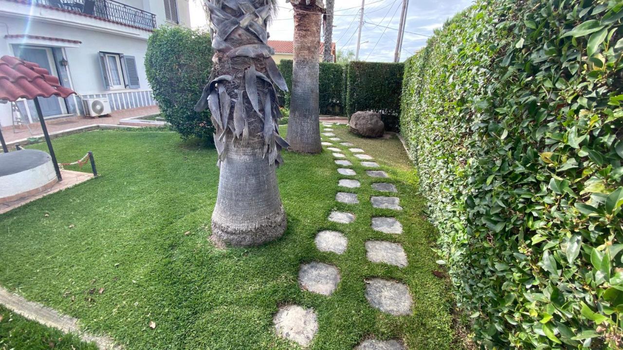 Patras Palm Tree Lejlighed Eksteriør billede