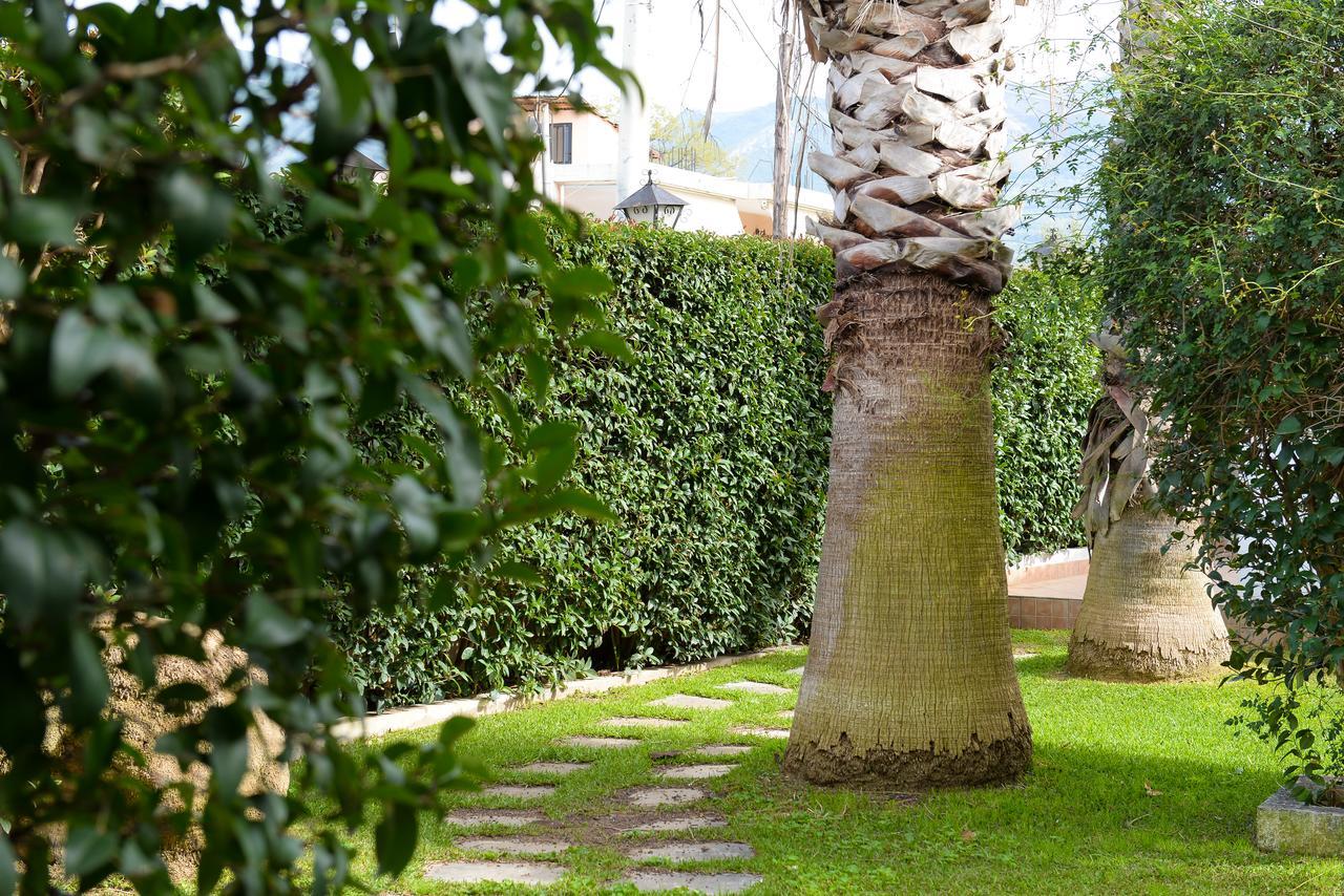Patras Palm Tree Lejlighed Eksteriør billede